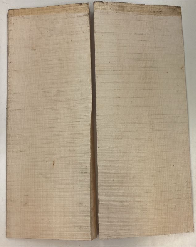 Back & Sides Sycamore / Europ. Maple, Archtop Unique Piece #021